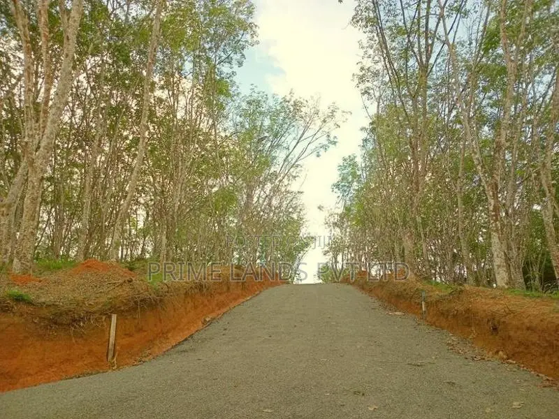 Lands For Sale In Weligama