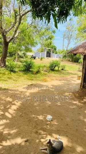 Land for Sale Vavuniya