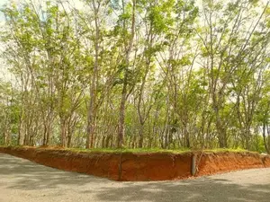 Lands For Sale In Ahangama