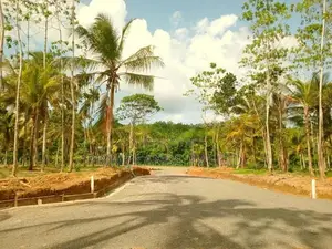 Lands For Sale In Weligama