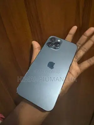 Apple iPhone 12 Pro Max (Used)