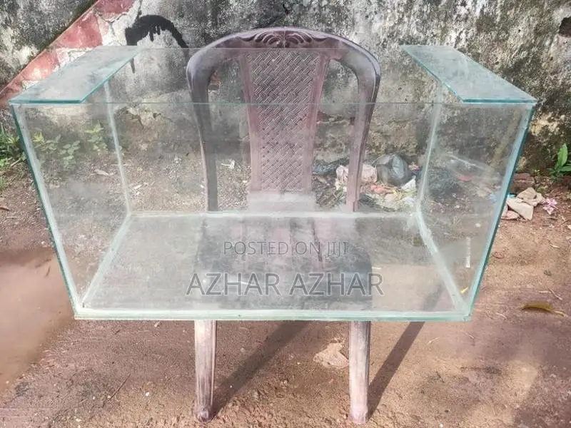 Fish Tank