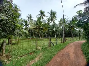 Land for Sale Minuwangoda