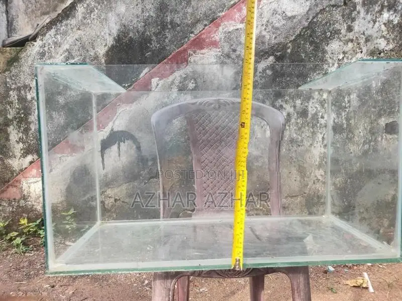 Fish Tank