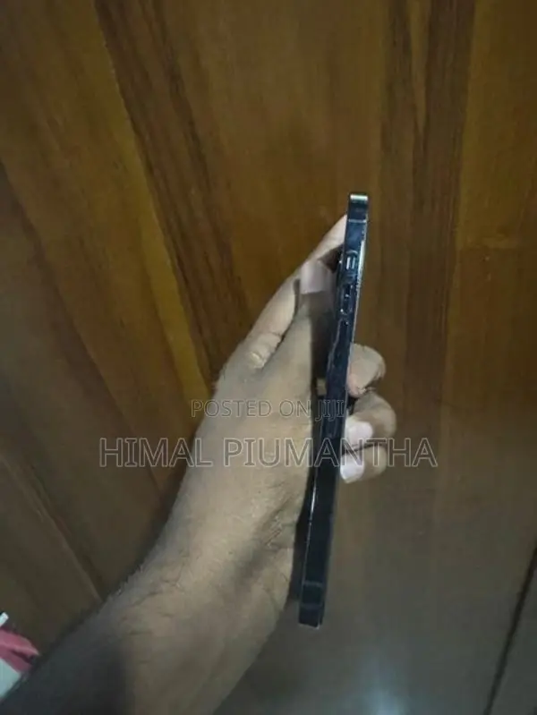 Apple iPhone 12 Pro Max (Used)