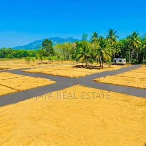 Tangalle මුහුදු වෙරලට ඇවිදින දුරින් ඉඩමක් විකිණීමට ඇත