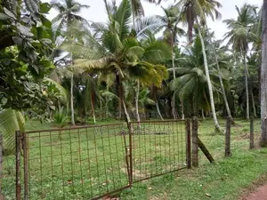 Land for Sale Minuwangoda