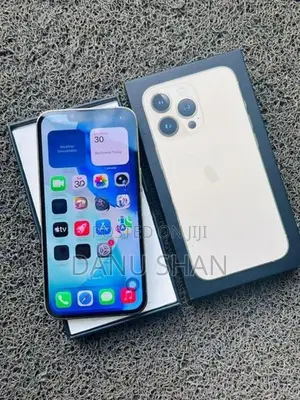 Apple iPhone 13 Pro (Used)