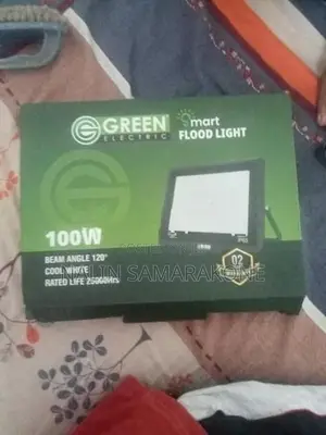 Flood Light