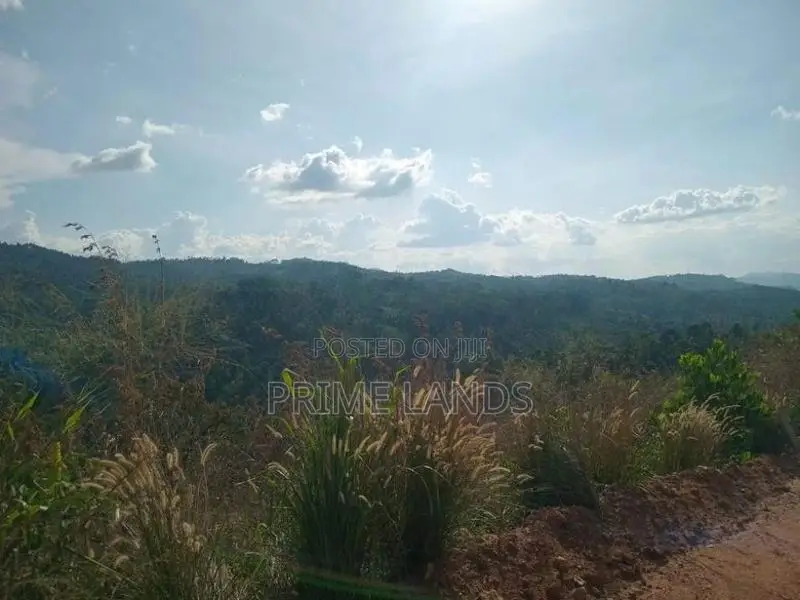 Land For Sale Nillamba