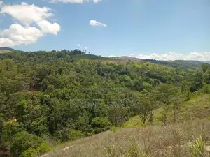 Land For Sale Deltota
