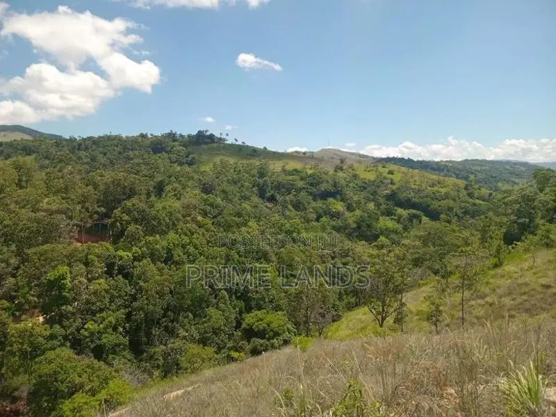 Land For Sale Deltota