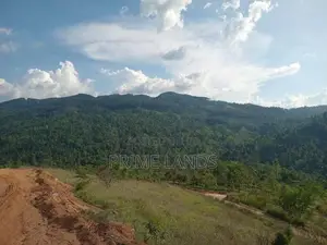 Land For Sale Nillamba