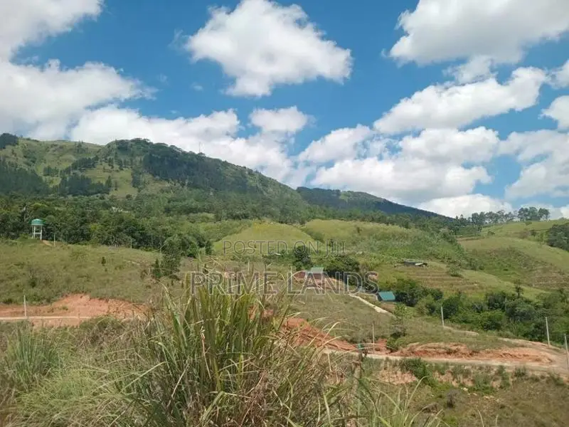 Land For Sale Deltota