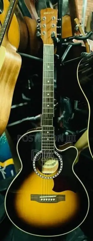 Acoustic Guitar