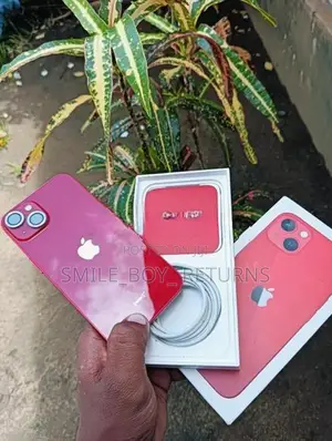 Apple iPhone 13 (Used)