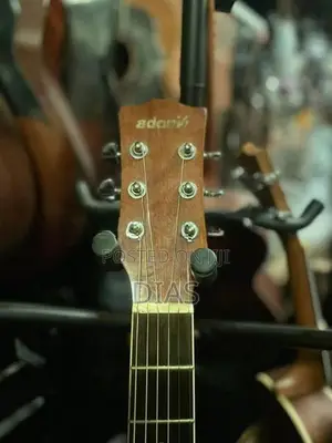 Acoustic Guitar