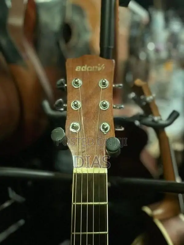 Acoustic Guitar