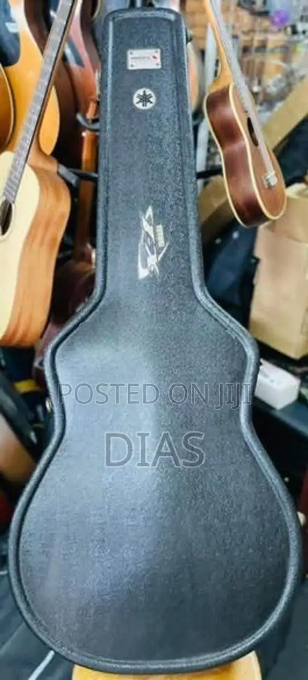 Guitar Hard Case