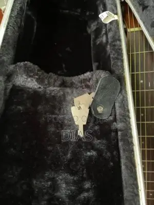 Guitar Hard Case