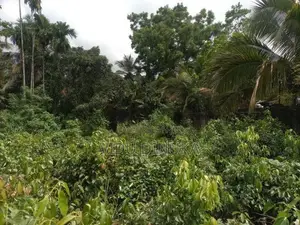 Land for Sale in Manampita