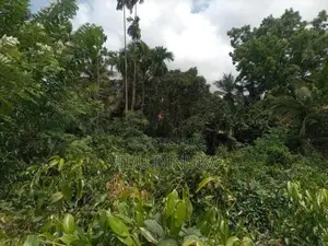 Land for Sale in Manampita
