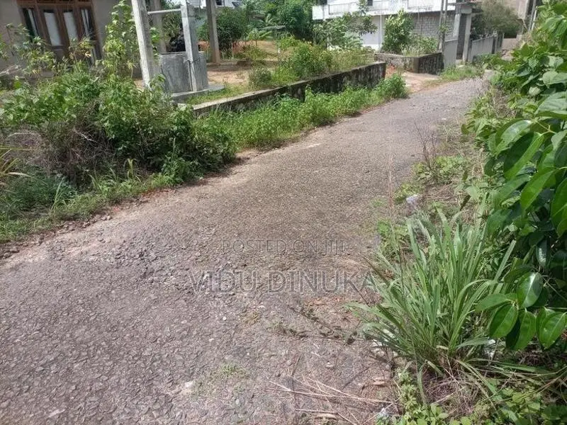 Land for Sale in Manampita