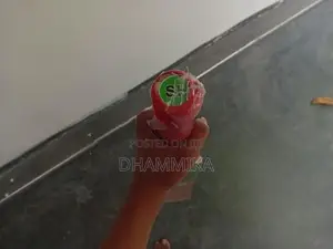 Cricket Bat