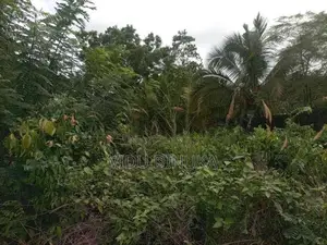 Land for Sale in Manampita