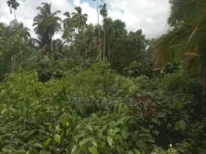 Land for Sale in Manampita