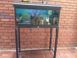 Fish Tanks