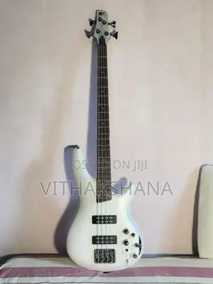 Ibanez SDGR SR300E Guitar