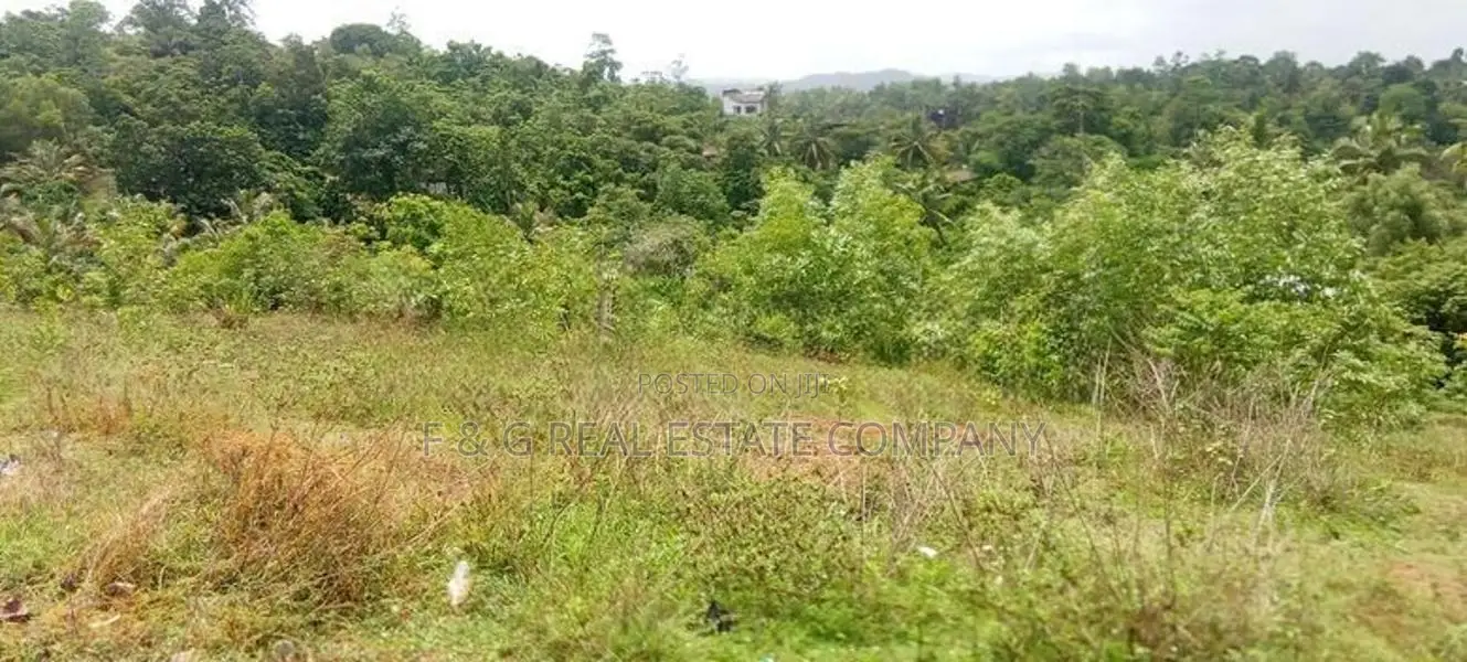 Raigama Bandaragma Land for Sale