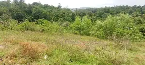 Raigama Bandaragma Land for Sale