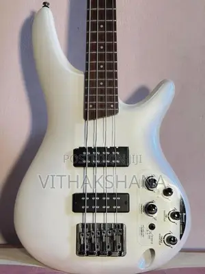Ibanez SDGR SR300E Guitar