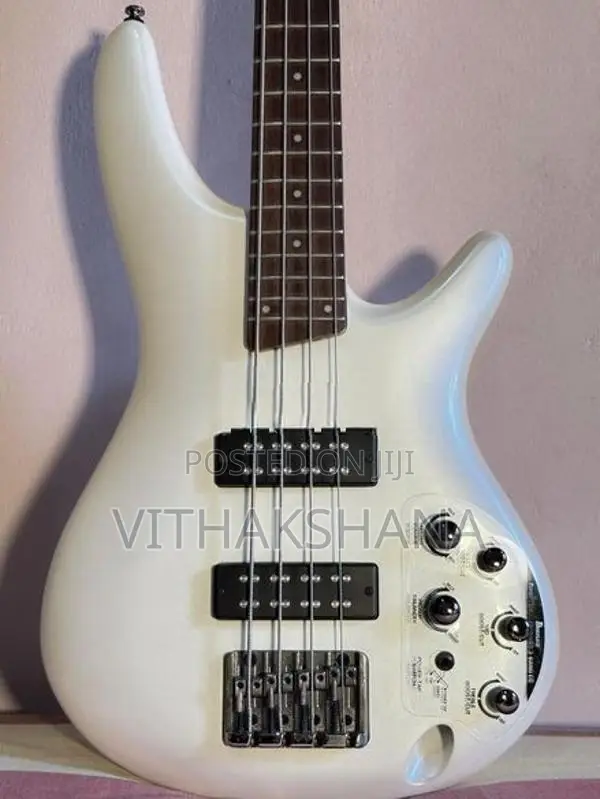 Ibanez SDGR SR300E Guitar