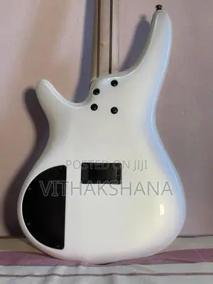 Ibanez SDGR SR300E Guitar