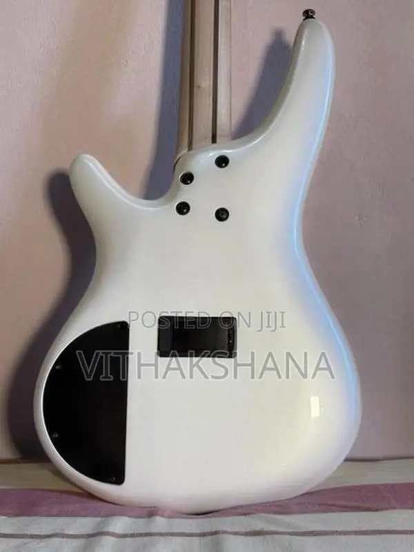 Ibanez SDGR SR300E Guitar