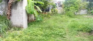 Raigama Bandaragma Land for Sale