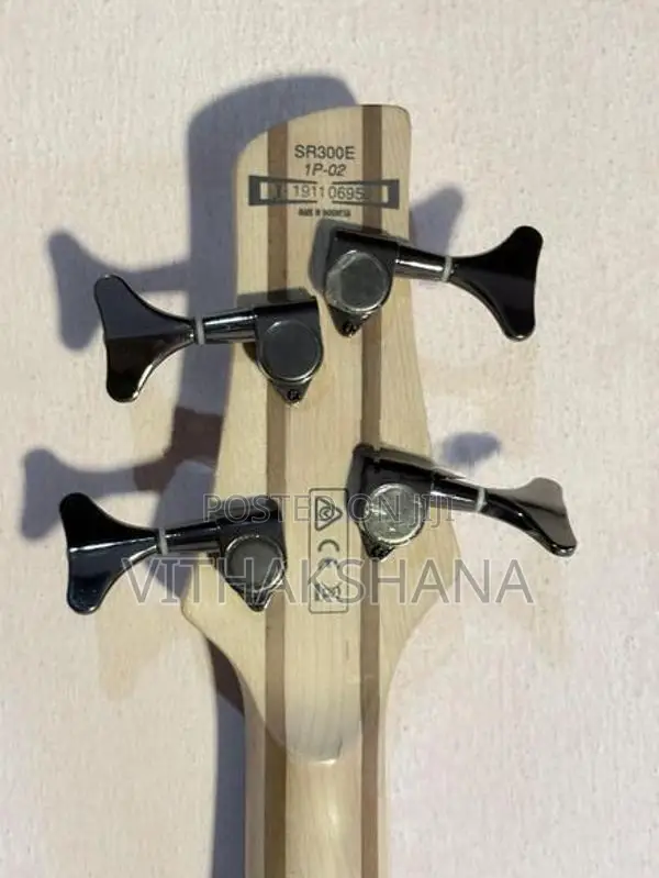 Ibanez SDGR SR300E Guitar
