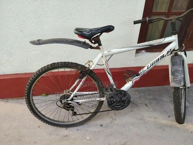 Lumala Bicycle