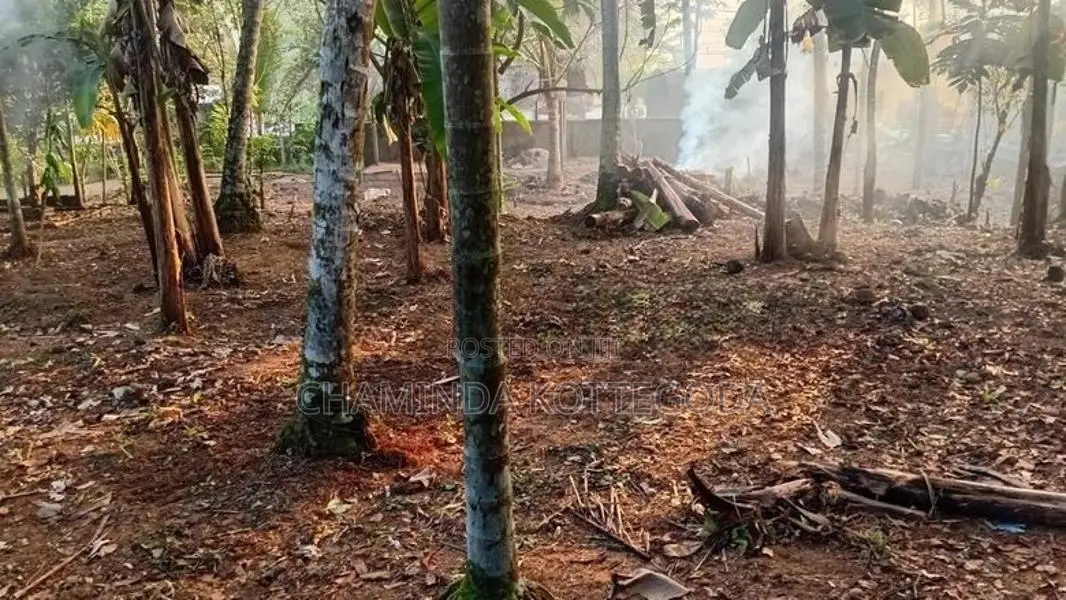 පර්චස් 27ක බිම් කොටසකි Gurugalla