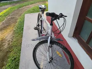 Lumala Bicycle