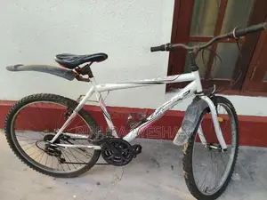 Lumala Bicycle