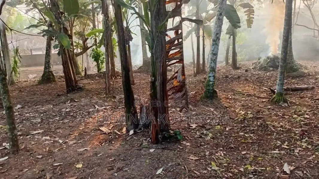 පර්චස් 27ක බිම් කොටසකි Gurugalla