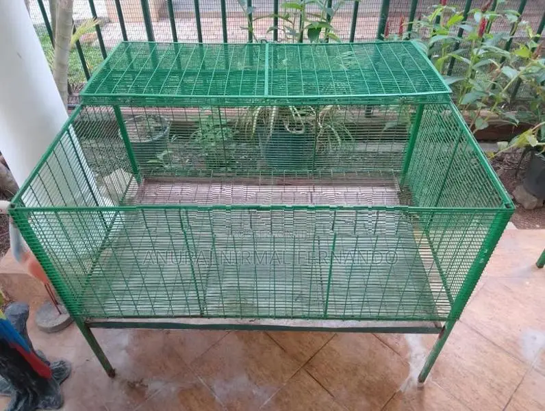 Bird Cage