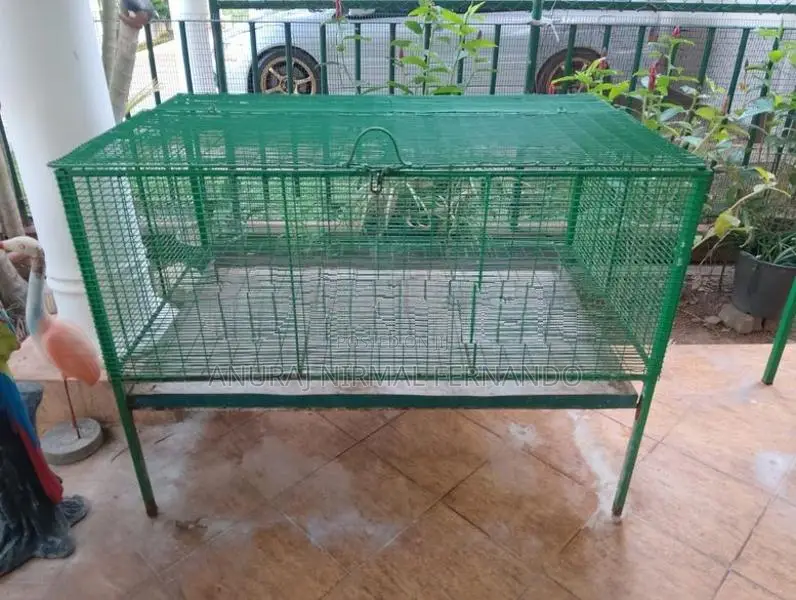 Bird Cage