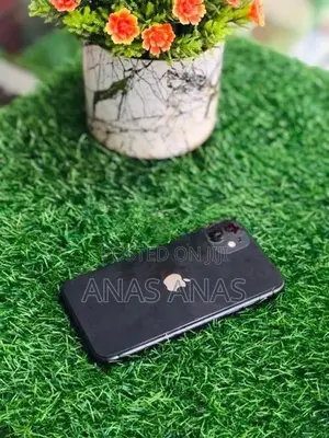 Apple iPhone 11 (Used)