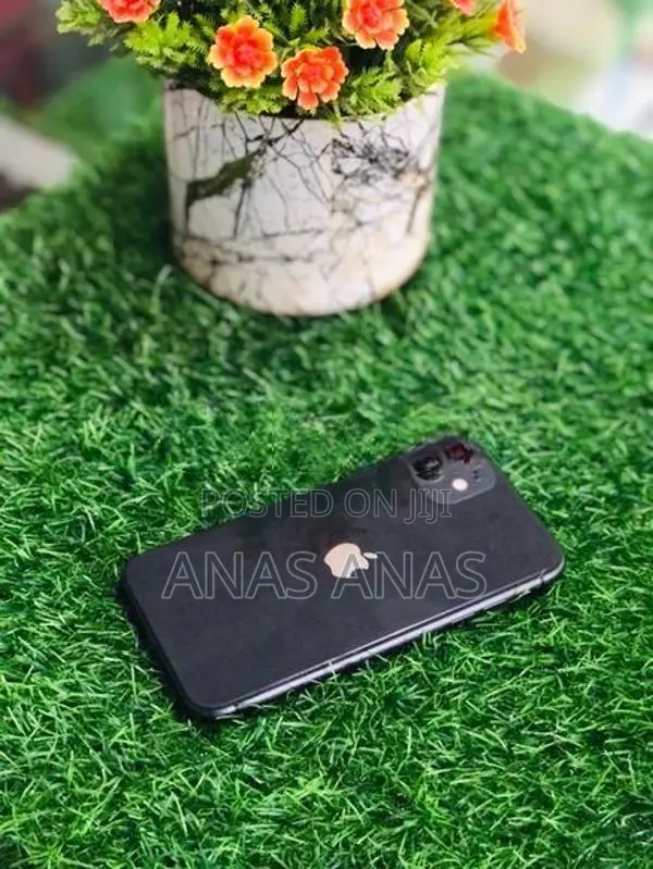 Apple iPhone 11 (Used)