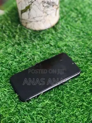 Apple iPhone 11 (Used)